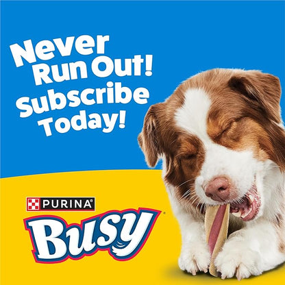 Purina Busy With Beggin' Dog Treats, Twist'd - 10 Count (Pack of 1)
