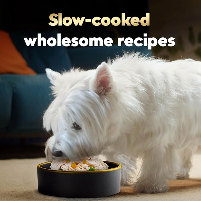 Cesar Wholesome Bowls Adult Wet Dog Food, Chicken, Sweet Potato & Green Beans Recipe, Wet Food for Dogs, 3 Oz. Bowls, 10 Count