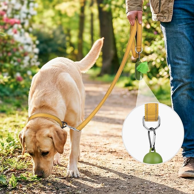 Joytale Dog Leash, 6 FT Double-Sided Reflective, Padded Handle Nylon Heavy Duty Leashes for Small Dogs Walking, Khaki