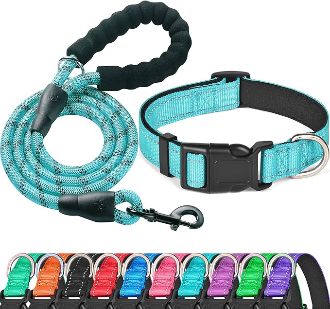 Ladoogo Reflective Dog Collar Padded with Soft Neoprene Breathable Adjustable Nylon Dog Collars for Small Medium Large Dogs (Small (Pack of 1), Blue Collar+Leash)