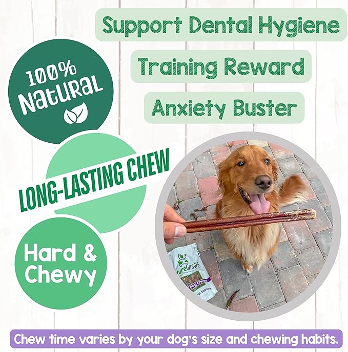 Nature Gnaws Large Bully Sticks for Dogs 11-12" (5 Count) - Thick Long Lasting for Aggressive Chewers and Large Dogs - Natural Beef Dog Chew Bones