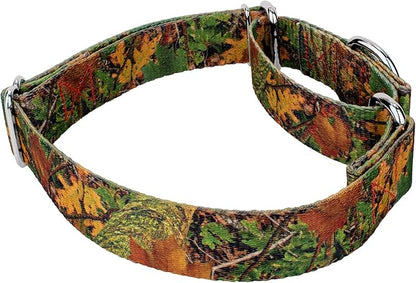 Country Brook Petz - Southern Forest Camo Martingale Dog Collar and Leash - Camouflage Collection Featuring Rugged Designs (1 Inch, Extra Large)