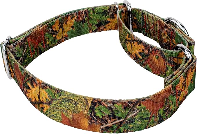 Country Brook Petz - Southern Forest Camo Martingale Dog Collar and Leash - Camouflage Collection Featuring Rugged Designs (5/8 Inch, Small)