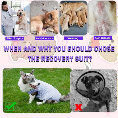 Dog Surgery Recovery Suit for Male Female, Spay Neuter Cone Alternative Surgical Onesie, Purple, X-Small