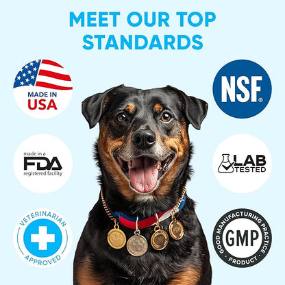 Chewable Flea and Tick Prevention for Dogs - 120 Soft Chews Made in USA - Oral Flea and Tick Control Pills for Small, Medium, Large Dogs and Puppies - Skin and Coat Supplement Treats for All Breeds