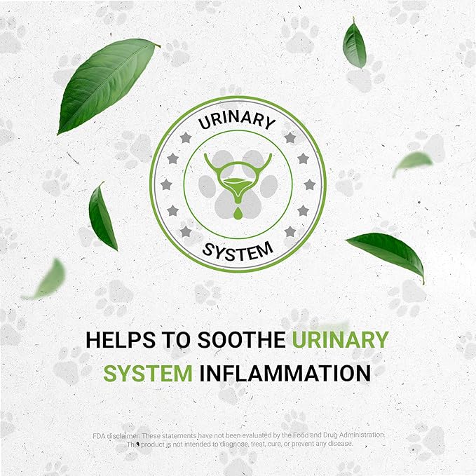 Wolf's Kidney | Natural Herbal Dietary Supplement | Healthy Kidney Function Support in Dogs | Alcohol-Free Extract, Dandelion Root, Calendula, Linden, Chamomile, Fennel 2 oz