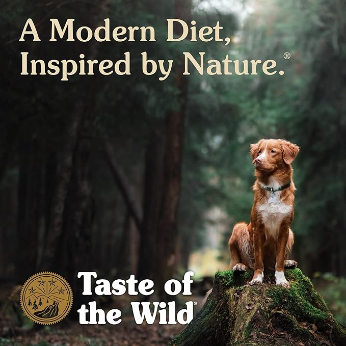 Taste of the Wild Southwest Canyon Canine Recipe with Beef in Gravy Canned Dog Food, 13.2-oz, Case of 12