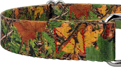 Country Brook Petz - Southern Forest Camo Martingale Dog Collar and Leash - Camouflage Collection Featuring Rugged Designs (1/2 Inch, 2XS)
