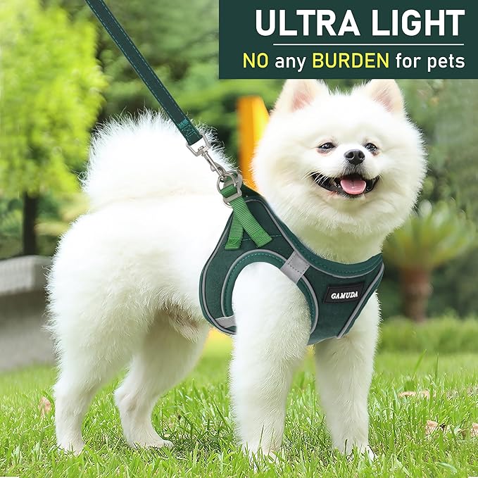 GAMUDA Small Pet Harness Collar and Leash Set, Step in No Chock No Pull Linen Fabric Soft Mesh Dog Vest Harnesses Reflective for Dogs Puppy Cats Kitten Rabbit (Green, L)