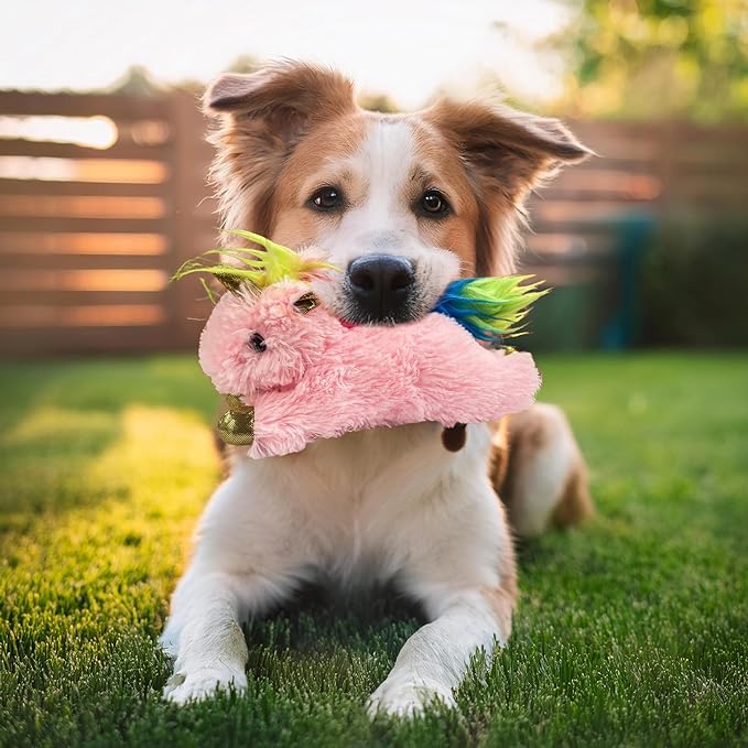 Multipet Unicorn Dog Toy | Small Squeaky Unicorn Dog Toy | Mystical Plush Squeaker Dogs Toys | Small/Medium Breed | Pink | 7"