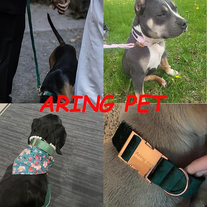 ARING PET Dog Collar and Leash, Velvet Dog Collar and Leash Set, Soft & Comfy, Adjustable Collars for Dogs
