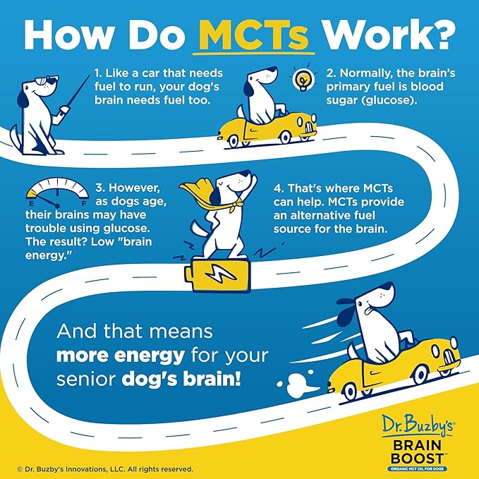 Dr. Buzby’s Brain Boost Organic MCT Oil for Dogs, 16 Oz Human Grade MCTs C8, C10, Senior Dog Dementia, Made from Pure Organic Coconut Oil, Medium Chain Triglyceride Liquid Dog Supplement