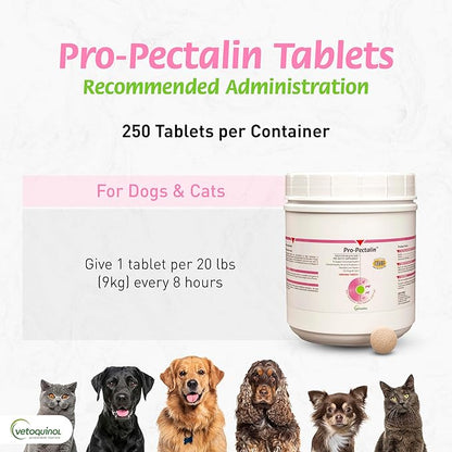 Vetoquinol Pro-Pectalin Chewable Tablets for Dogs & Cats, Helps Relieve Occasional Diarrhea, Situational Diarrhea Relief with Kaolin and Pectin, Contains Beneficial Probiotic Bacteria, 250 ct