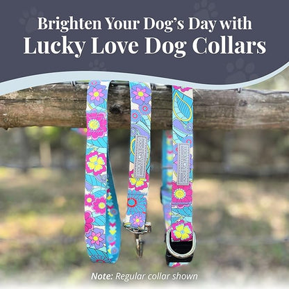 Lucky Love Dog Martingale Dog Collar - Adjustable, No-Slip, Durable, & Soft Webbing Collar for Male and Female Dogs Ideal for Training & Walking - Caroline, Small