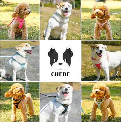 No Pull Dog Harness- Lightweight, Soft, Adjustable Small Harness Collar and Leash Set, Suitable for Cats Puppy Small and Medium-Sized Dog Outdoor Training and Running (Beige, S)