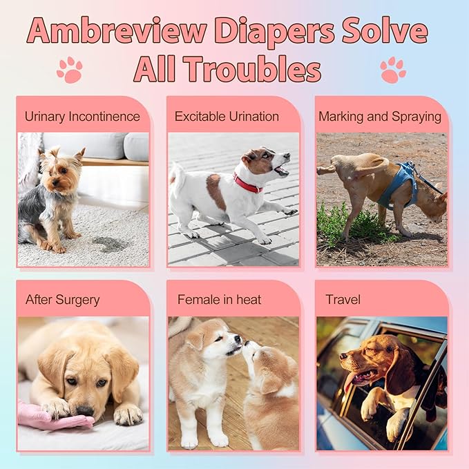 Ambreview Disposable Dog Diapers Female, Just Pull It Up, Doggie Diapers for Female Dogs, Strong Absorbency | Leak Proof, for Dogs in Heat | Elderly | Disabled, M 10 PCS
