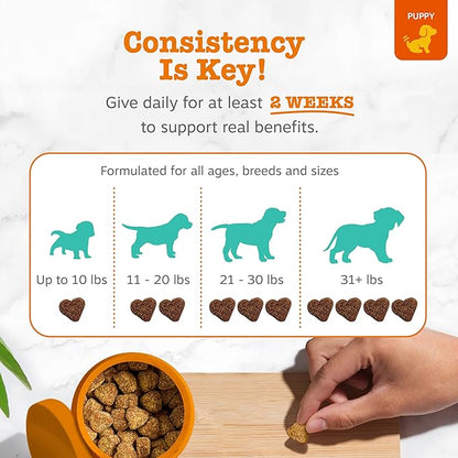 Zesty Paws Calming Chews for Dogs - for Everyday Stress, Relaxation, Composure, and Separation, Puppy Bites Turkey 90 Count