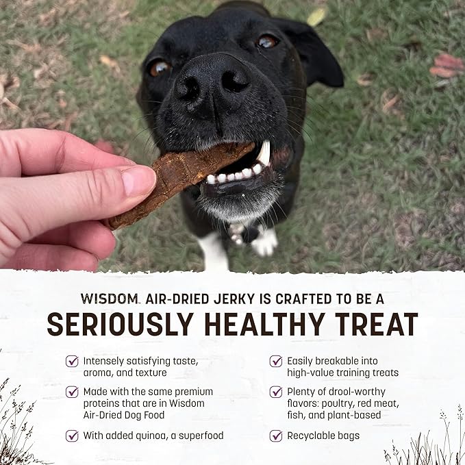 Earth Animal Wisdom Air Dried Jerky - Turkey Recipe Premium Natural Jerky Strips Dog Treats - 4 oz Bag