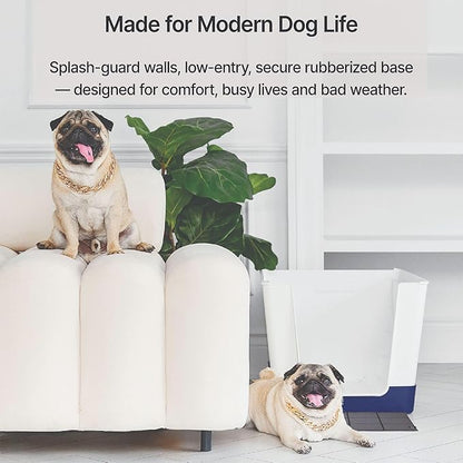 Indoor Dog Potty with High Walls and Low Entry for Small Dogs — Vertical Pad Holder, Splash Guard, and Clean Modern Design by DoggyBathroom (Mini, Navy Blue)