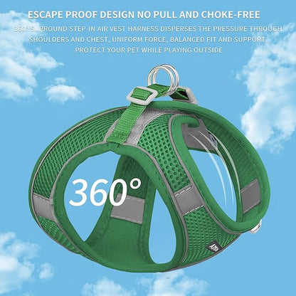 AIITLE Comfortable Dog Harness and Leash Set for Walking - Step in Vest Harness,Reflective Bands, Adjustable No Pull Puppy Essentials, for Small Dogs and House Cats Green XS