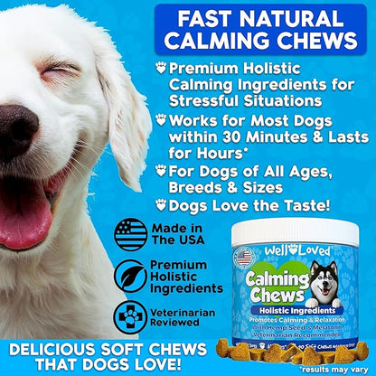 Well Loved Calming Chews for Dogs - Dog Calm Treats, Made in USA, Vet Developed, Behavior Support, Stress, Separation, Fireworks, Travel, Melatonin, Natural & Holistic, 90 Count