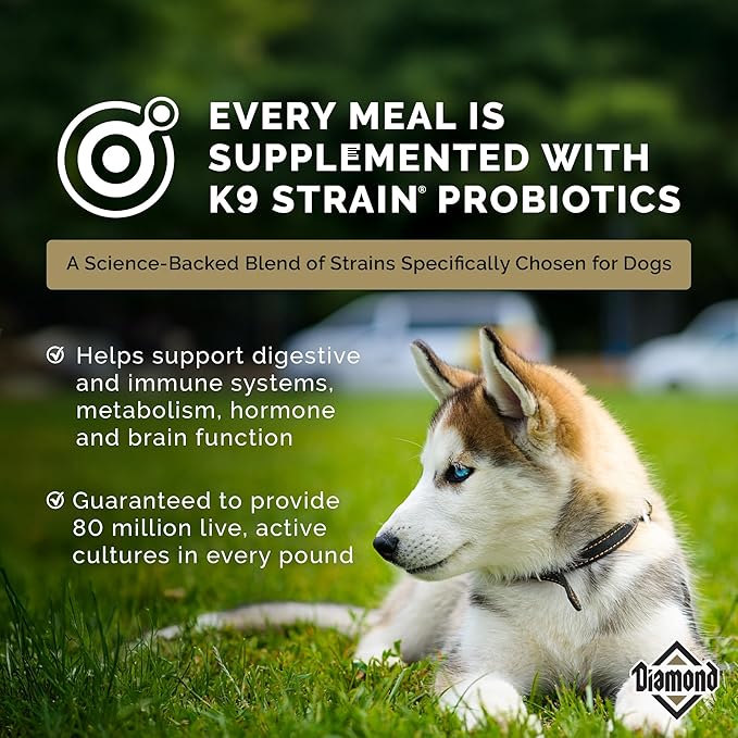 Diamond Puppy Dry Dog Food 31/20 for All Life Stages Including Puppies and Pregnant and Nursing Adult Dogs 40lb Bag