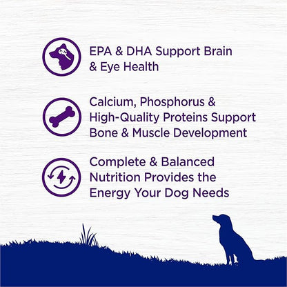 Wellness Complete Health Large Breed Adult Dry Dog Food, Wholesome Grain Kibble, Natural, Chicken, Oatmeal, and Salmon Recipe, 30 lb Bag