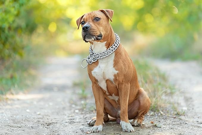 Silver Dog Choke Chain, Double Row Martingale Chain Dog Collars, Chew Proof Metal Cuban Link Slip Collar Adjustable for Small Medium Large Breed Dogs (2 Row, S)