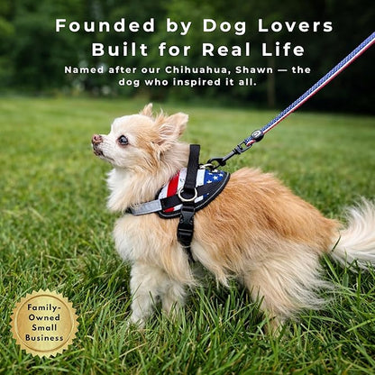 ShawnCo Essential Dog Harness, No-Pull Pet Vest with 3 Leash Clips, No Choke, Reflective, Adjustable and Padded, for Easy Walking and Training for Small, Medium and Large Dogs (Midnight, XS)
