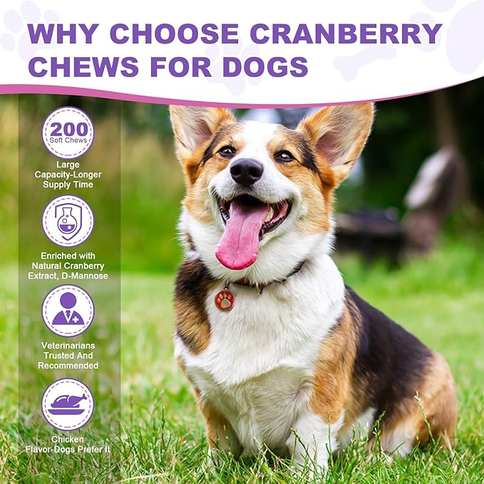 Dog Uti Treatment Cranberry Supplement for Dogs 200 Chews Urinary Tract Medicine Bladder Control Pills Kidney Support Cranberrys Extract Bites Uti Infection Treats Incontinence Remedy for Dogs Chicken