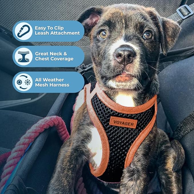 Best Pet Supplies - All Weather Mesh/Plush, Reflective, No Pull Harness for Small, Medium Dogs, Cats - Secure with Hook & Loop Fastener, Buckle, Double D-Rings - Black/Orange Trim, M