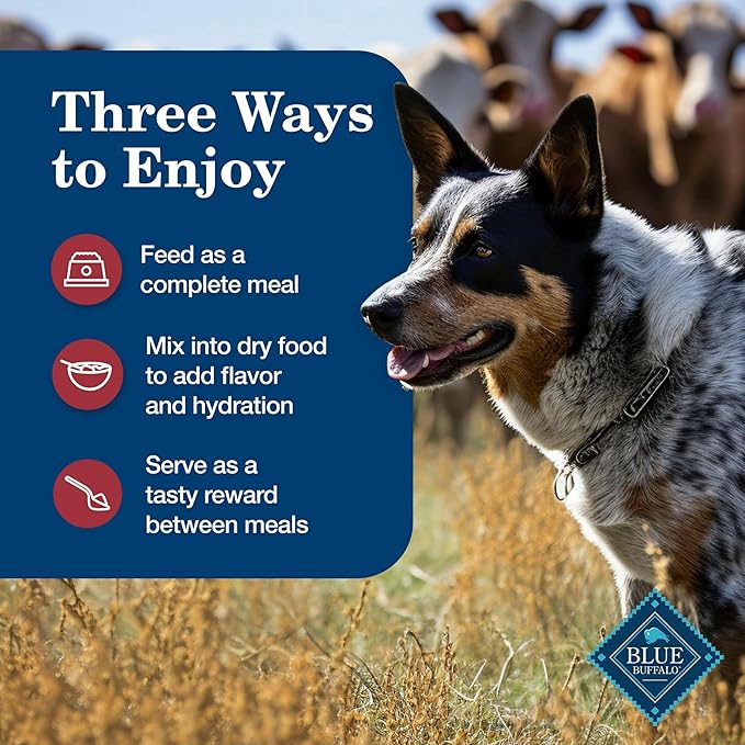Blue Buffalo Homestyle Recipe Adult Wet Dog Food, Made with Natural Ingredients, Chicken and Beef Dinner Variety Pack, 12.5-oz Cans (6 Count, 3 of Each)