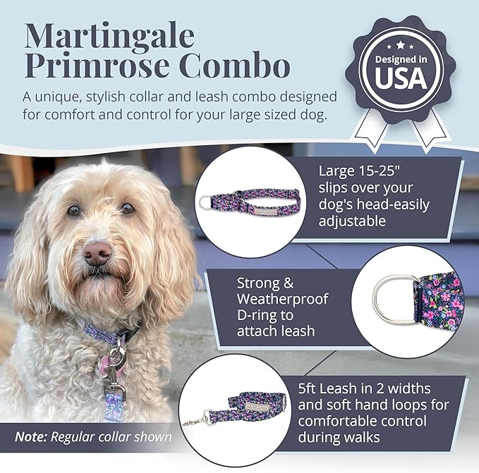 Lucky Love Dog Martingale Dog Collar & Leash - Adjustable, No-Slip, Durable, Comfortable, Soft Webbing, & Stylish Patterned Collar & Leash Set for Male and Female Dogs - Primrose Combo, Large