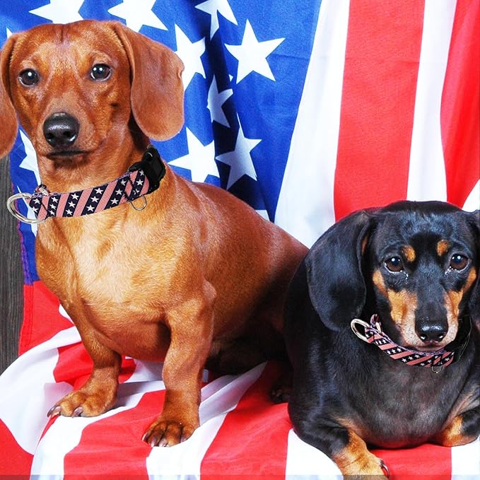 American Flag Martingale Collar for Dogs with Buckle 4th of July No Pull Adjustable Nylon Limited Slip Training Dog Collars (Navy Blue Flag, Small)