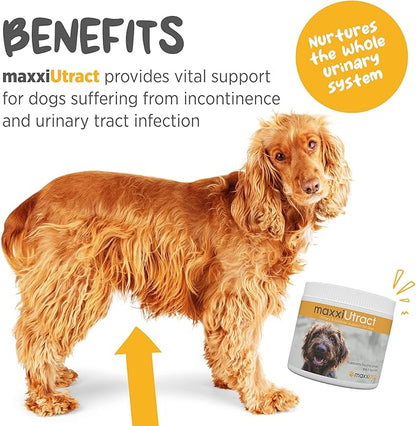 maxxiUtract Urinary & Bladder Support for Dogs – Natural Powder Supplement for Urinary Tract Health, Bladder Comfort & Ongoing Urinary System Support – D-Mannose & Cranberry Formula - 5.3 oz
