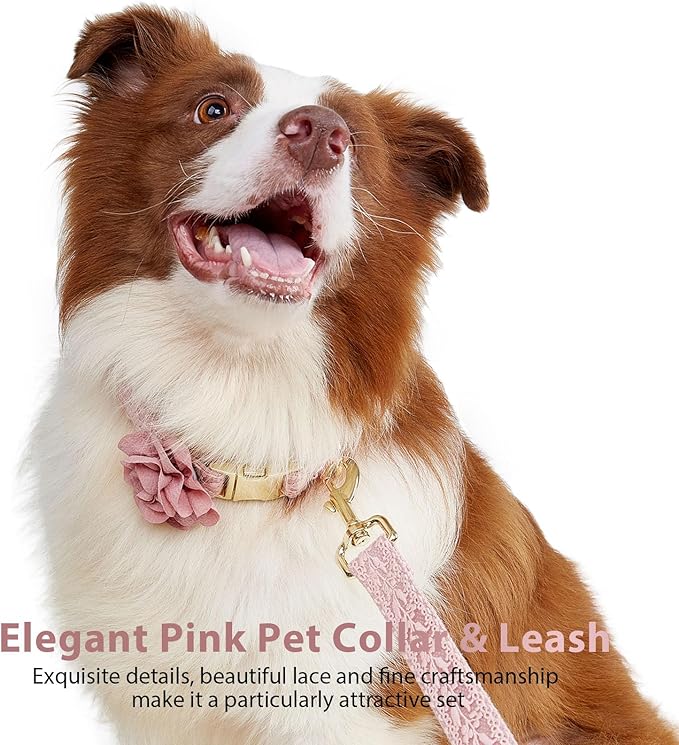 Pink Dog Collar and Leash for Medium Dogs Girls Adjustable Rose Gold Metal Buckle & Durable Padded Handle for Pet Wedding Party,M