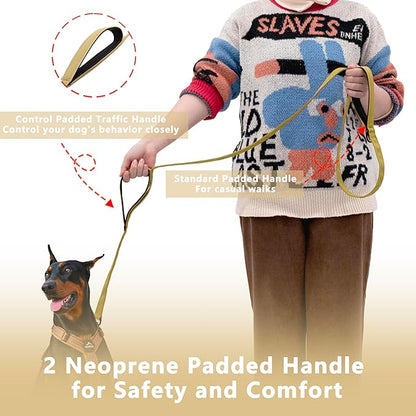 Dog Leash 6ft Long, Double Handle Dog Leash for Safety Control Training, Heavy Duty Dog Leads with Traffic Padded Handles, Reflective Leashes for Small Medium Large Dogs(6ft, Brown)