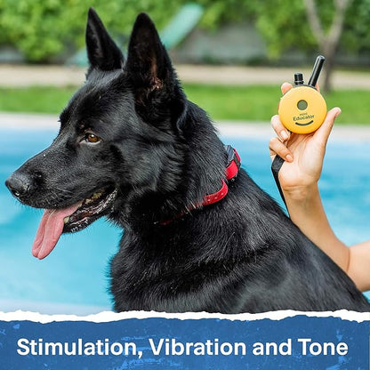 Educator ET-300 Mini E Collar for Dog Training with Remote - 1/2 Mile Range, Waterproof, 100 Blunt Stimulation Levels, Tone or Vibration Mode, Night Light Tracking for Small, Medium & Large Dogs