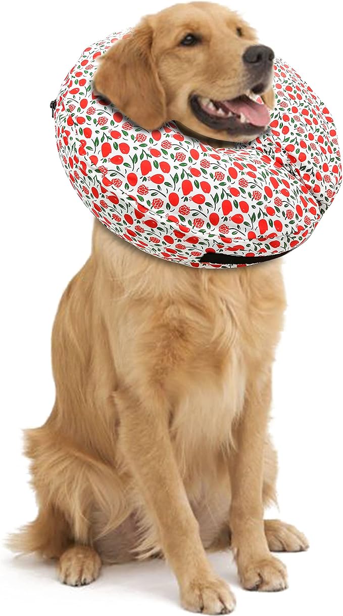 Protective Inflatable Collar for Dogs and Cats - Soft Pet Recovery Collar Does Not Block Vision, Prevents Pets from Touching Stitches, Wounds and Rashes (Floral - 1, Neck 21" - 25")
