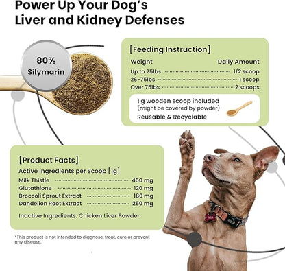 Pawpulse Formula Milk Thistle for Dogs – Liver & Kidney Support Powder with Silymarin & Glutathione – Daily Detox, Antioxidant & Metabolic Natural Support, 2.12 oz
