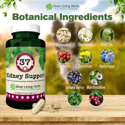 Silver Lining Herbs Kidney Support for Dogs – Natural Herbal Canine Kidney Cleanse & Bladder Support Supplement with Cranberry & Astragalus - Urinary Tract Health & Renal Vitamins – 90 Capsules