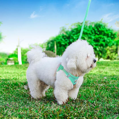 Hipubby Dog Harness and Leash Set, No Pull Soft Mesh Puppy Harness for Small Medium Dogs, Cats - Step in Reflective Breathable Lightweight Vest Harness for Walking, Training - Green, XS