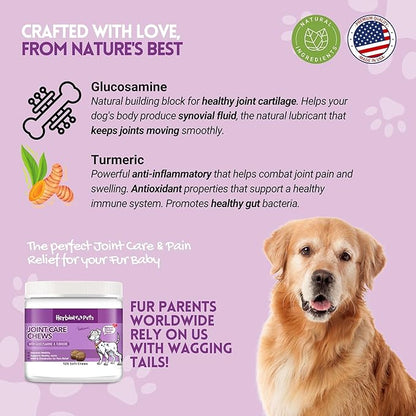 HERBION Pets Joint Care Chews with Glucosamine & Turmeric, 120 Soft Chews, MSM & Chondroitin for Pain Relief, Improves Mobility, Supports Healthy Joints, Made in USA, for Dogs 12 Weeks+, Pack of 1