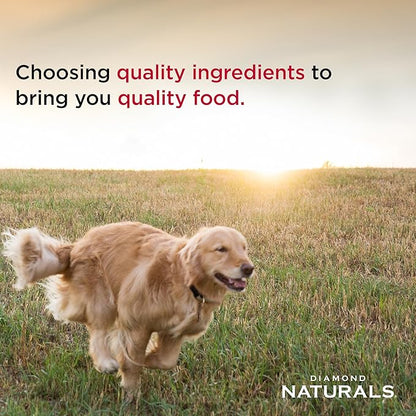 Diamond Naturals Small Breed Dog Real Chicken amnd Rice Recipe Premium Dry Dog Food 18 lbs