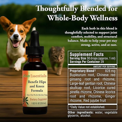 Kan Herb Company Benefit Hips and Knees Formula – Traditional Chinese Herbal Blend for Dogs and Cats to Support Joint Comfort, Mobility, & Digestive Balance, Liquid Herbal Supplement for Pets, 1 fl oz
