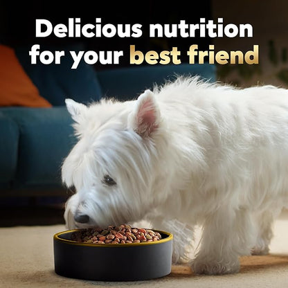 Cesar Small Breed Dry Dog Food for Small Dogs, Rotisserie Chicken Flavor and Spring Vegetables Garnish, 5 lb Bag