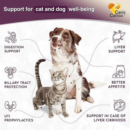 Canis&Cattus Milk Thistle for Dogs and Cats - Liver and Kidney Support for Pets – Salmon Flavor Drops for Daily Wellness – 2 oz