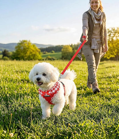 SuperBuddy Upgraded Soft Mesh Dog Harness, Super Breathable Lightweight Pet Harnesses for Puppy Dogs Outdoor Walking, Red Dog Harness and Dog Leash Set Packing -Medium