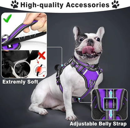 WINSEE Pet Harness Collar and Leash Set, All-in-one Reflective Dog Harness No Pull with Adjustable Buckles for Puppies, Small, Medium, Large, and Extra-Large Dogs (Large, Purple)