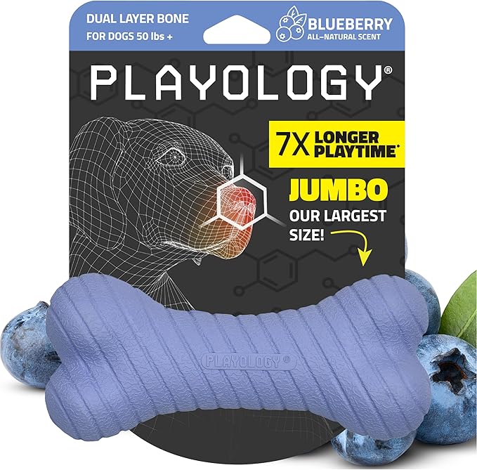 Playology Dog Toys | Dual Layer Bone Durable Chew Toy Bone for Dogs | Jumbo Blueberry Scented Toy - Easy to Clean and Made from Non Toxic Materials